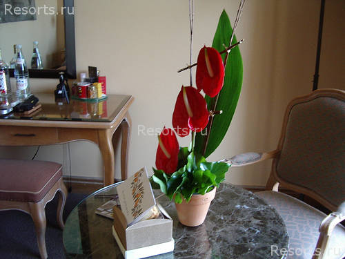 Hotel Royal Riviera 22